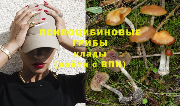 mdpv Алексеевка