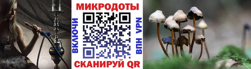 Галлюциногенные грибы Psilocybe  Гаджиево 