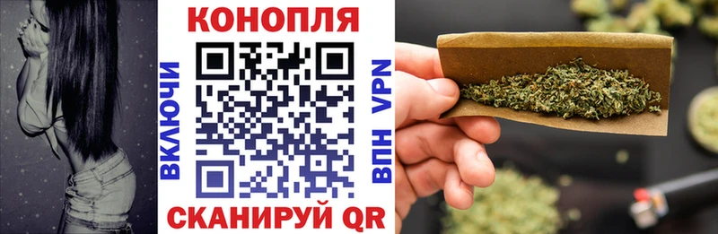 где купить наркоту Гаджиево Бошки марихуана сатива